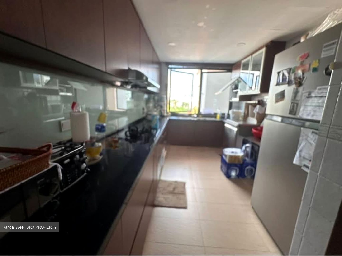 The Merasaga (D10), Condominium #563214841